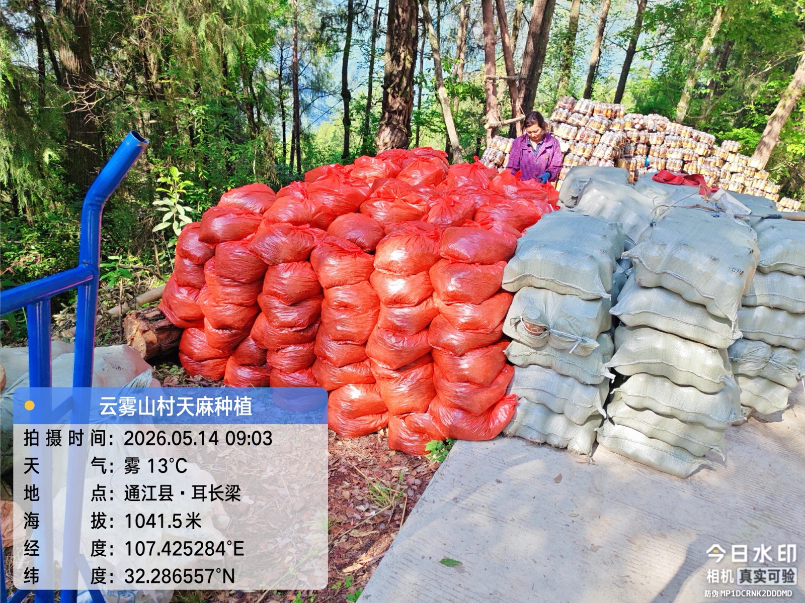 生产物资集中准备