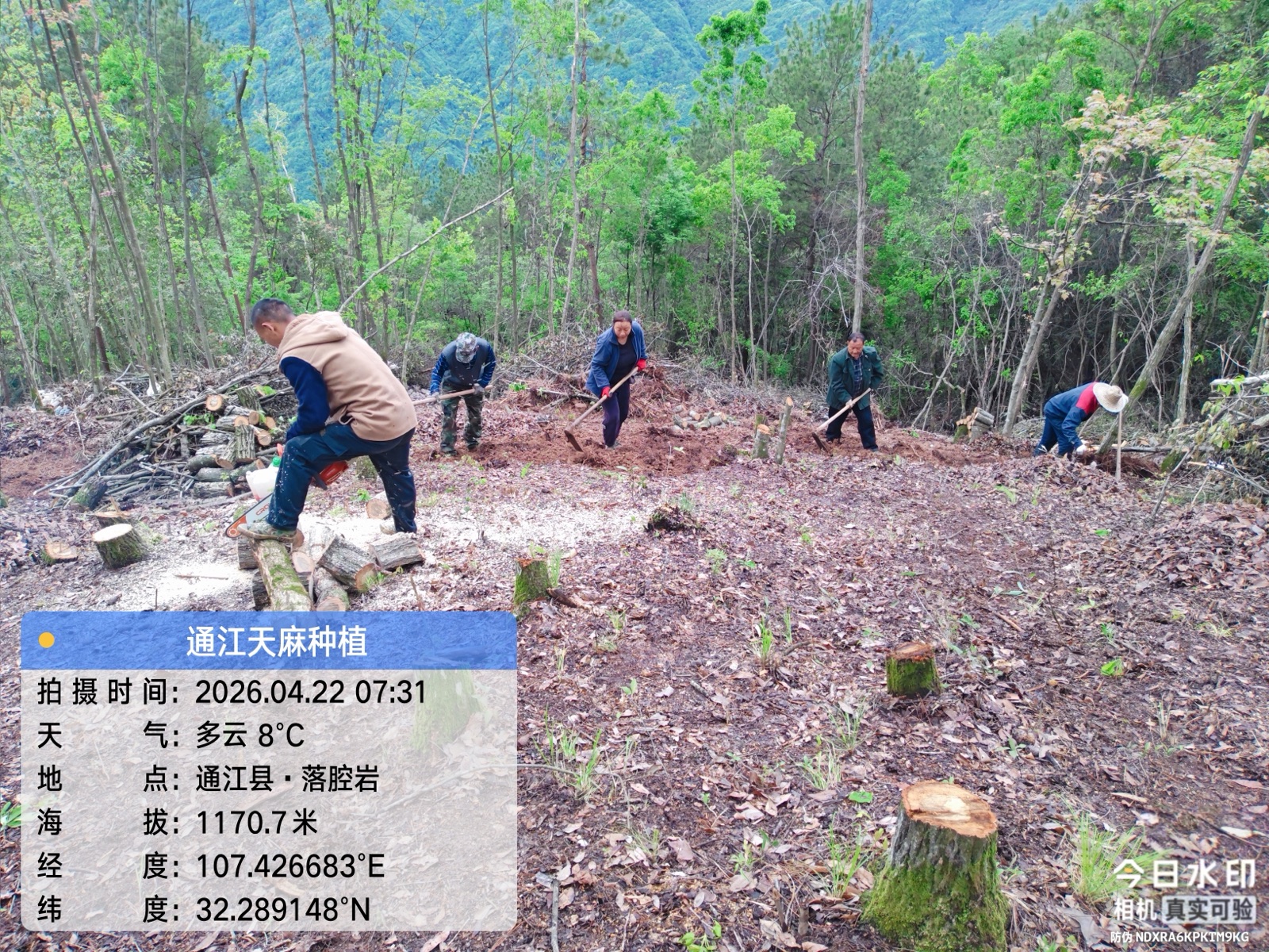 项目现场村民协同作业