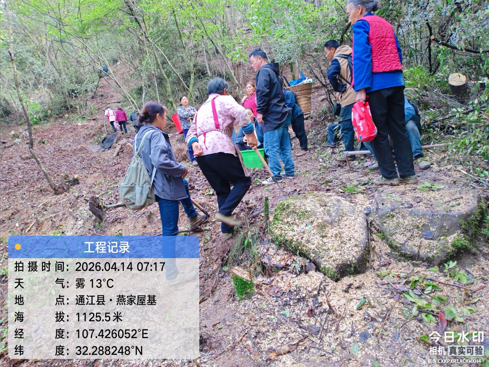 现场交流与技术协作